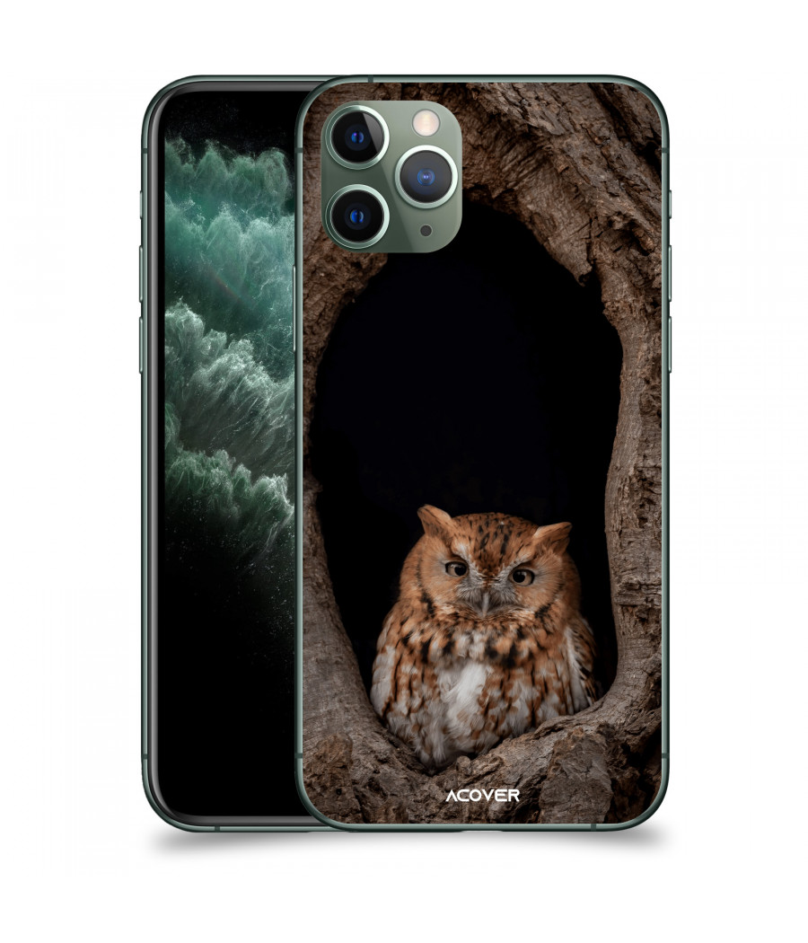 ACOVER Kryt na mobil Apple iPhone 11 Pro s motivem Owl