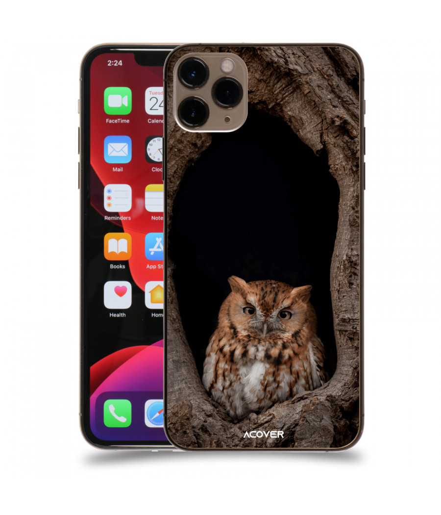 ACOVER Kryt na mobil Apple iPhone 11 Pro Max s motivem Owl