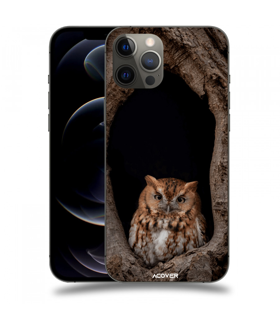 ACOVER Kryt na mobil Apple iPhone 12 Pro Max s motivem Owl