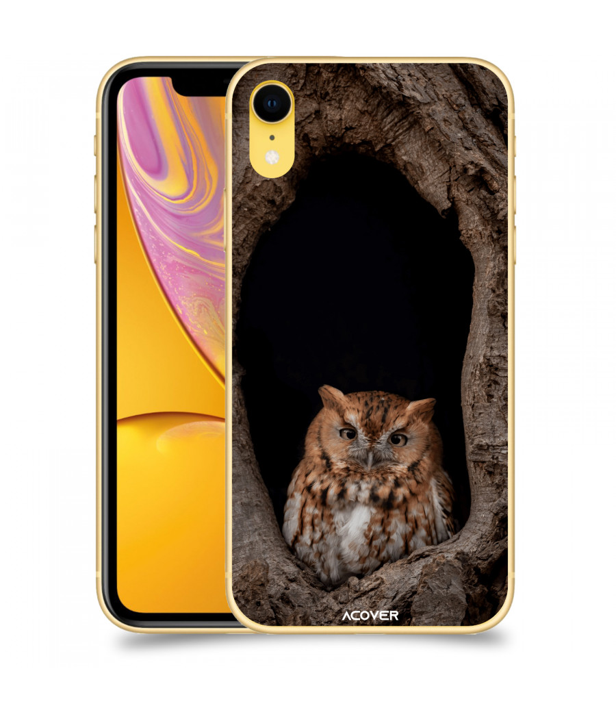 ACOVER Kryt na mobil Apple iPhone XR s motivem Owl
