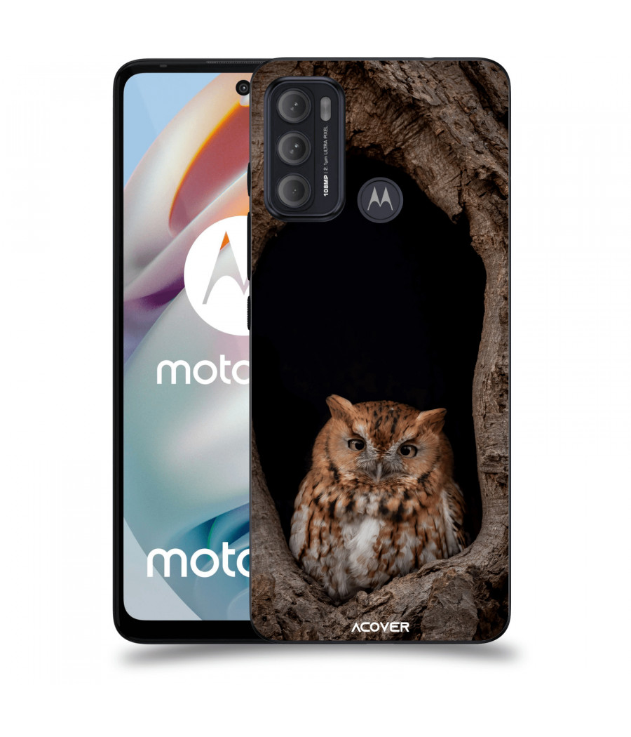 ACOVER Kryt na mobil Motorola Moto G60 s motivem Owl