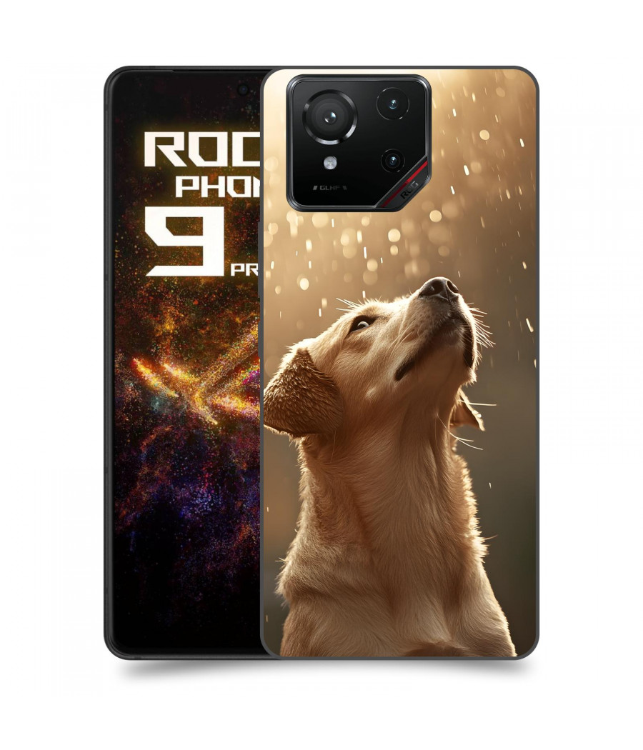 ACOVER Kryt na mobil Asus ROG Phone 9 Pro - ::name::